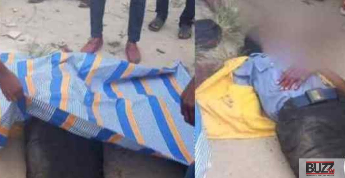 Policewoman shot dead by a Policeman on lockdown duties. (video + Photos )