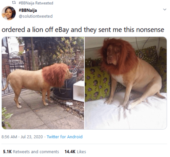 Social Media hilariously react as a lady ordered for a lion online but got something thing instead
