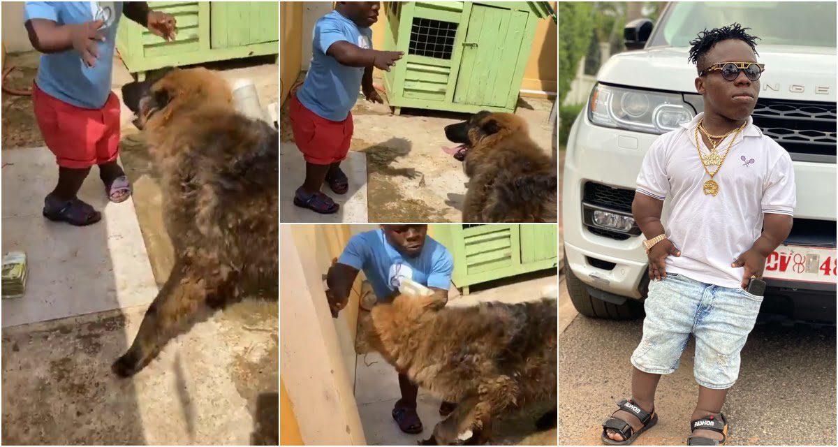 Shatta Bandle speaks after a dog nearly Ate him alive (video)