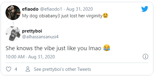 My dog just lost her virginity - Efia Odo cries