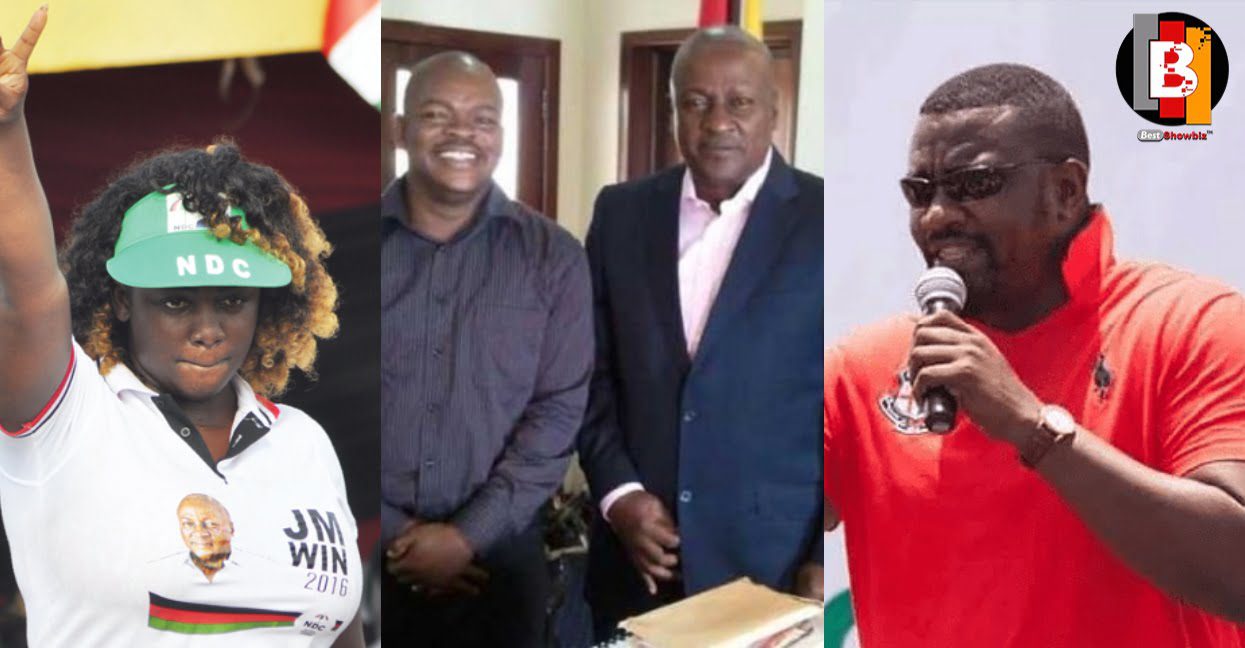 7 Celebrities who actively campaigned for the NDC in 2016 but still lost