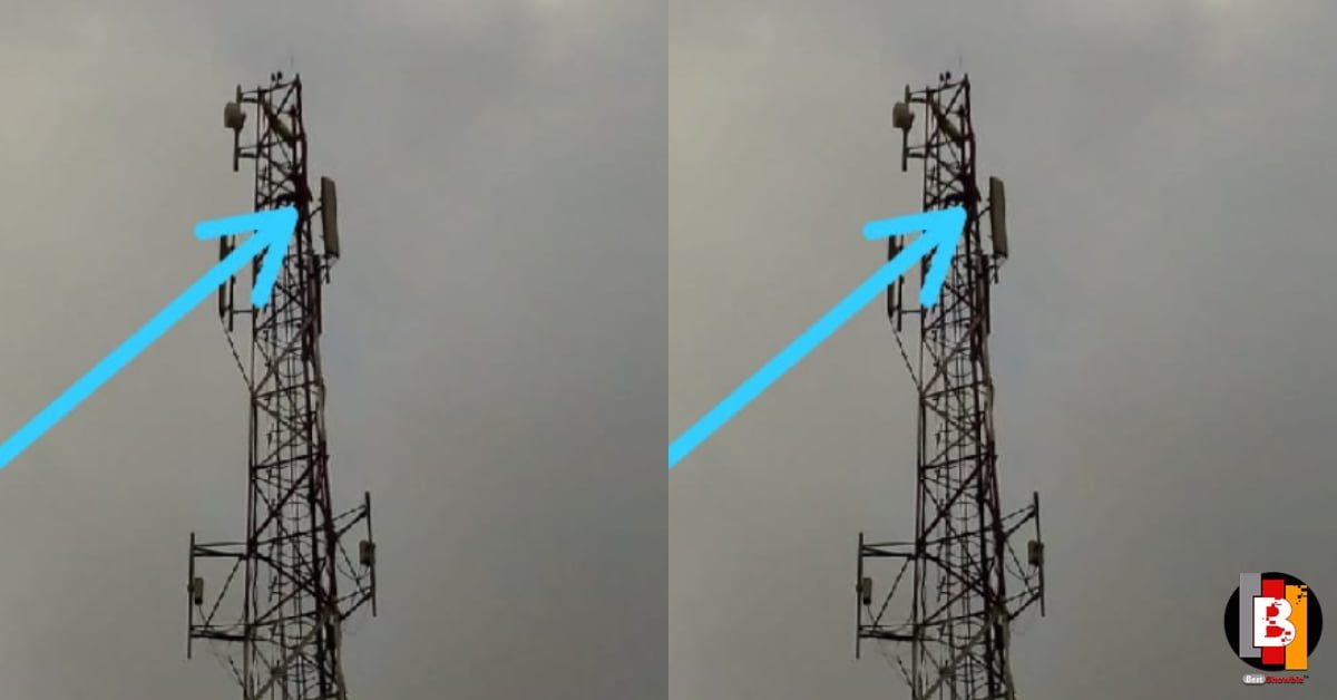 Rogue NPP Man Refuses To Descend from Telephone Mast – Say Unless Nana Addo Wins