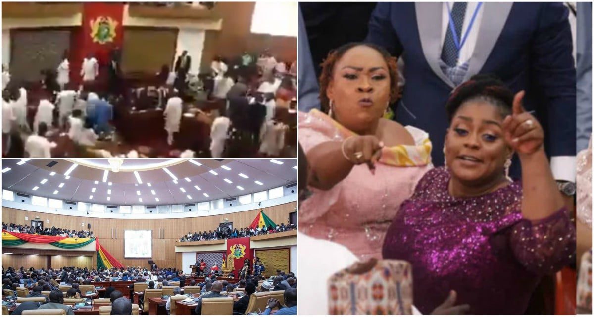 Hawa Koomson shows her kungfu skills as she fights NDC mps in parliament (video)