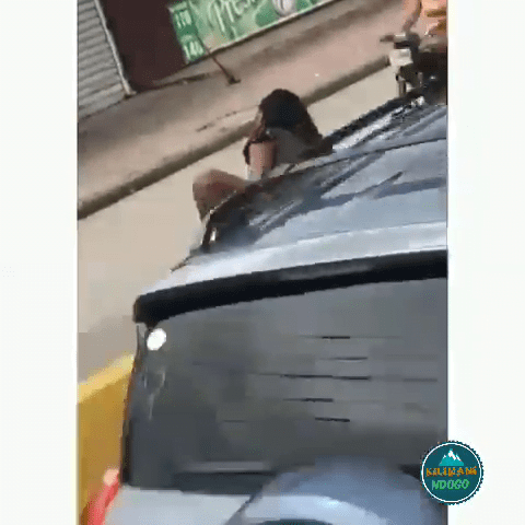 Young lady use a beer bottle to 'Do' the 'thing' in the middle of a highway (video)