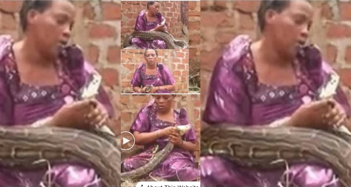A woman was caught breastfeeding a gigantic snake and then ordered it to k!ll someone (Photo)