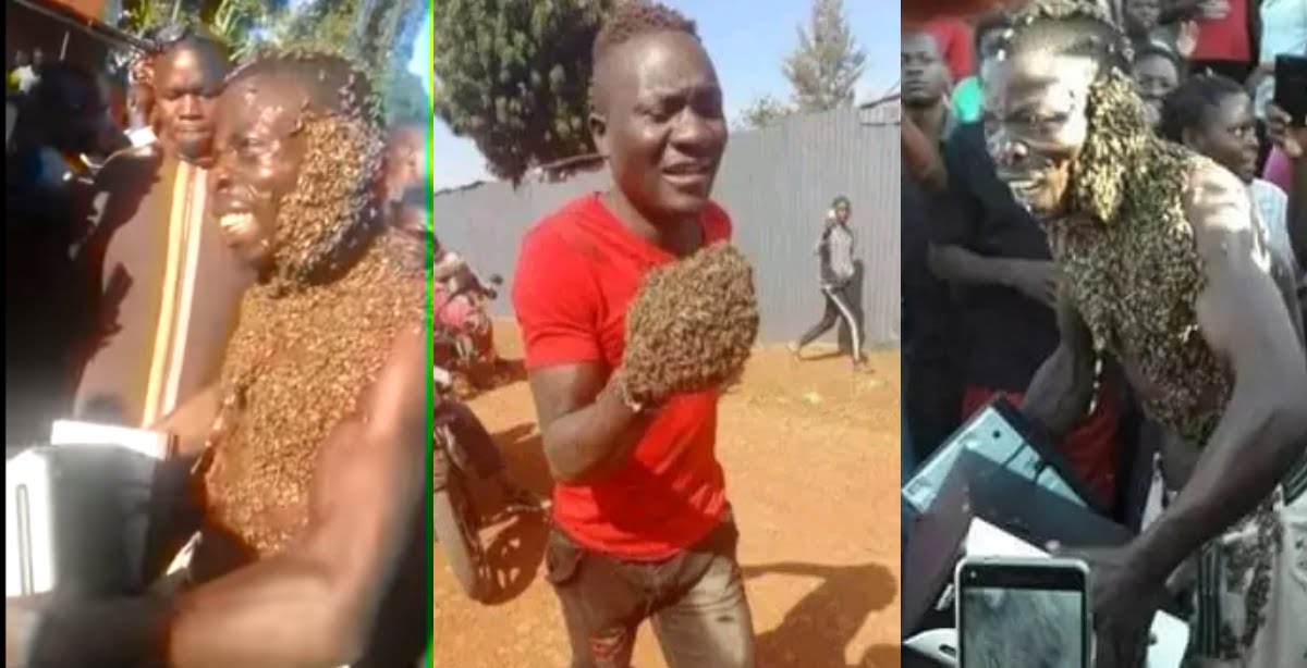 Wonders!! Bees arrest two thieves, forcing them to return stolen items (video)