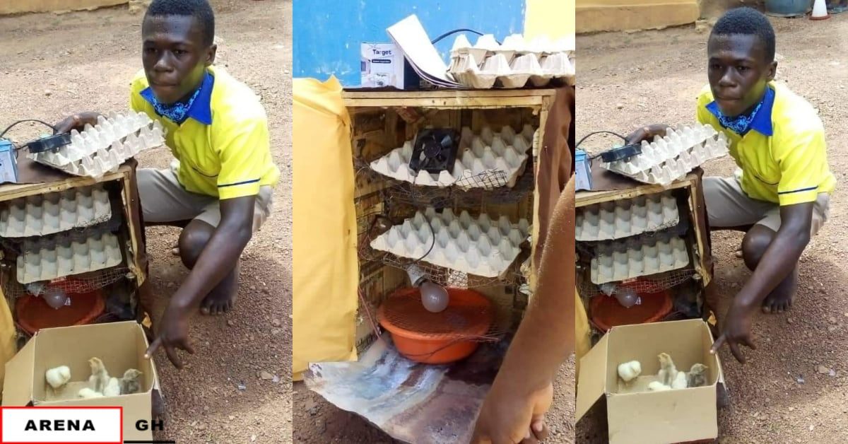 Meet Samuel Asante, the JHS2 boy who has made an electric incubator that hatches chicks - Photos