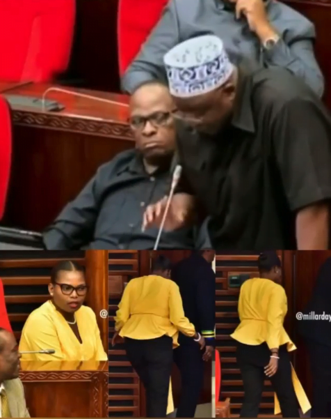 Parliament Forces Female MP to go out just because she was wearing tight jeans (video)