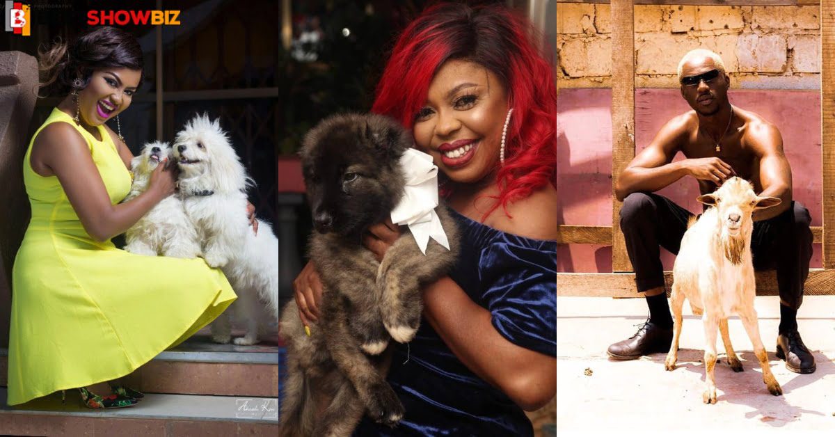 See Photos of popular Ghanaian celebrities and their pets (photos)