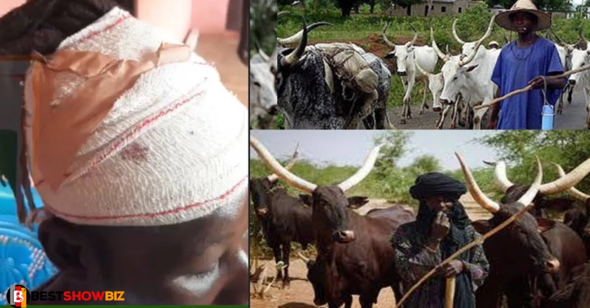 Fulani herdsmen robs a man at gunpoint and r@ped his 10 years old daughter in central region (video)
