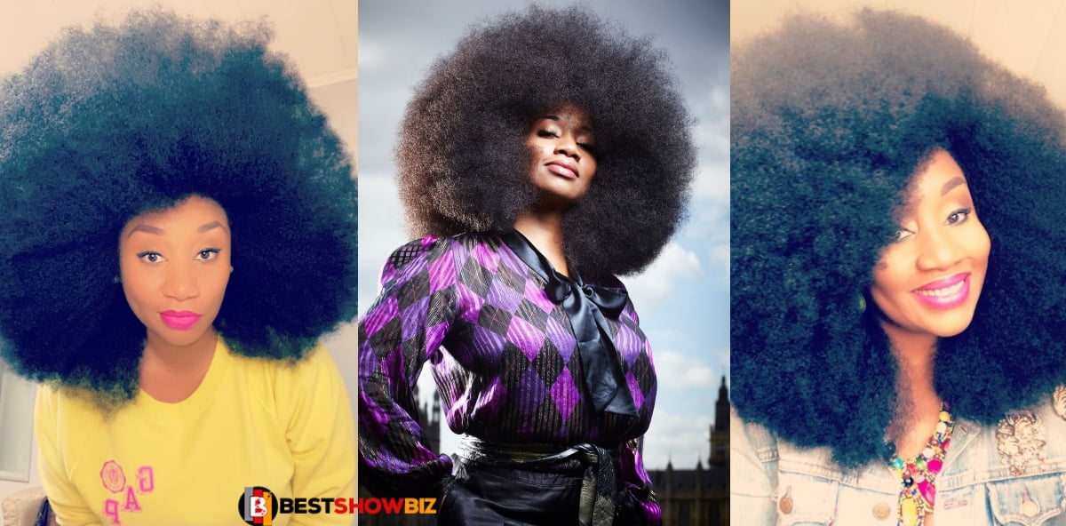 Lady with the biggest Afro Hair breaks world's record with her beautiful hair - Photos
