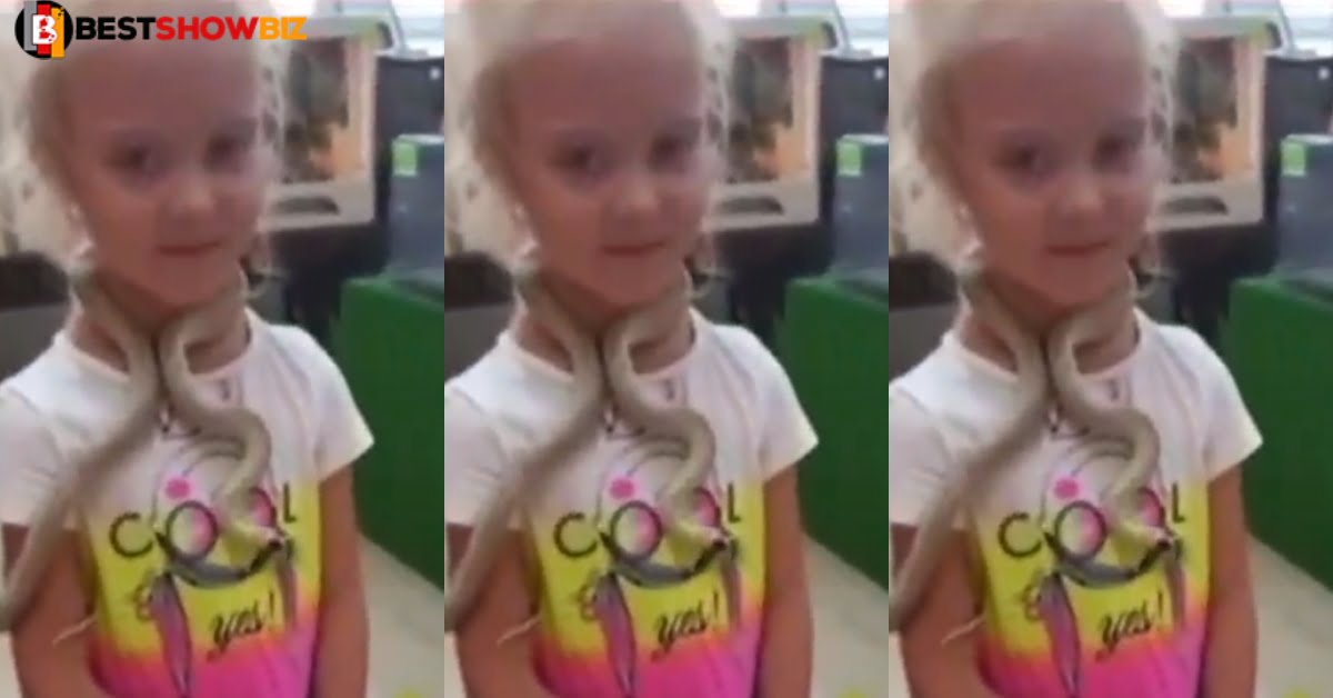 Watch the moment a 5-year-old girl was b!tten by a $nake on the face at a Zoo - Video