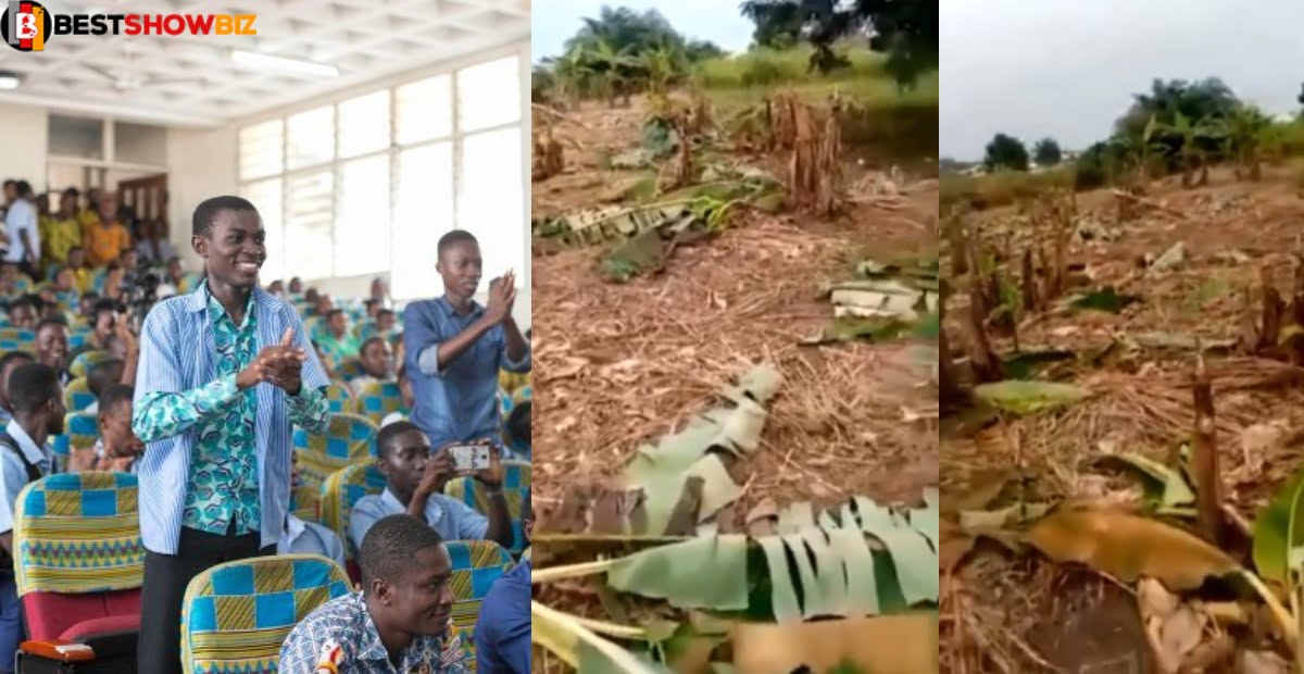 Students Of Osei Tutu SHS Destroy Plantain Farm Of Assistant Headmaster Over Strict Wassce Invigilation (video)