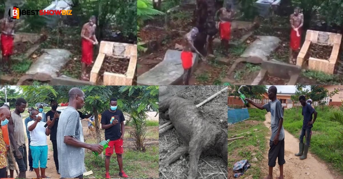 Photos: 2 'Sakawa' Boys Secretly Buries Bulldog Alive By In Takoradi