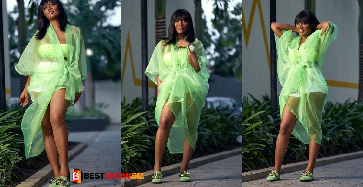 Black Beauty: Sandra Ankobiah stirs the internet with new photos in see-through dress