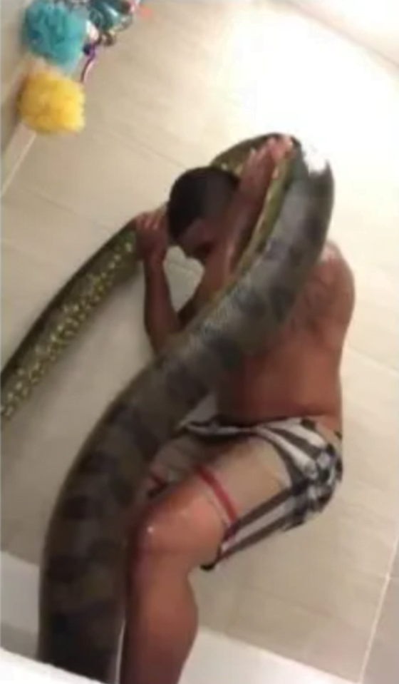 lady post-Video Of Her Rich Boyfriend Bathing With A Huge Python