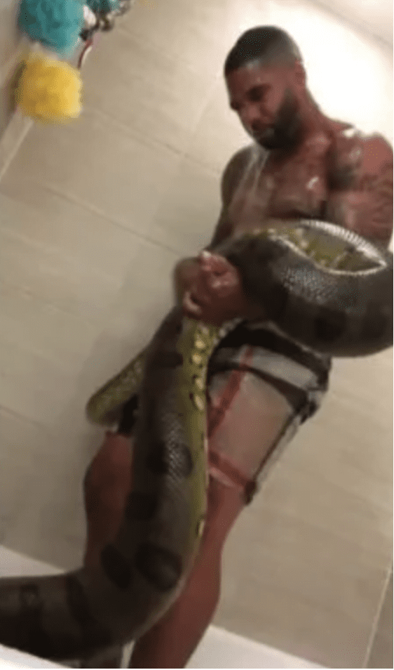 lady post-Video Of Her Rich Boyfriend Bathing With A Huge Python