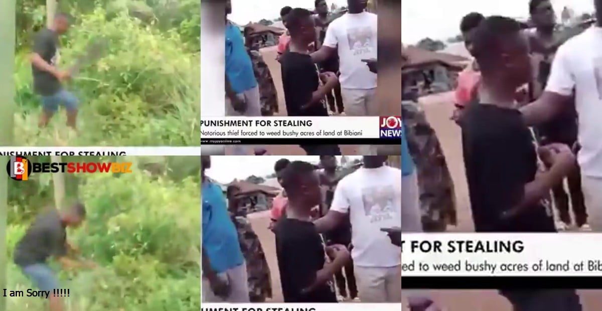 Thief made to weed 5 acres of land after he was caught stealing (video)