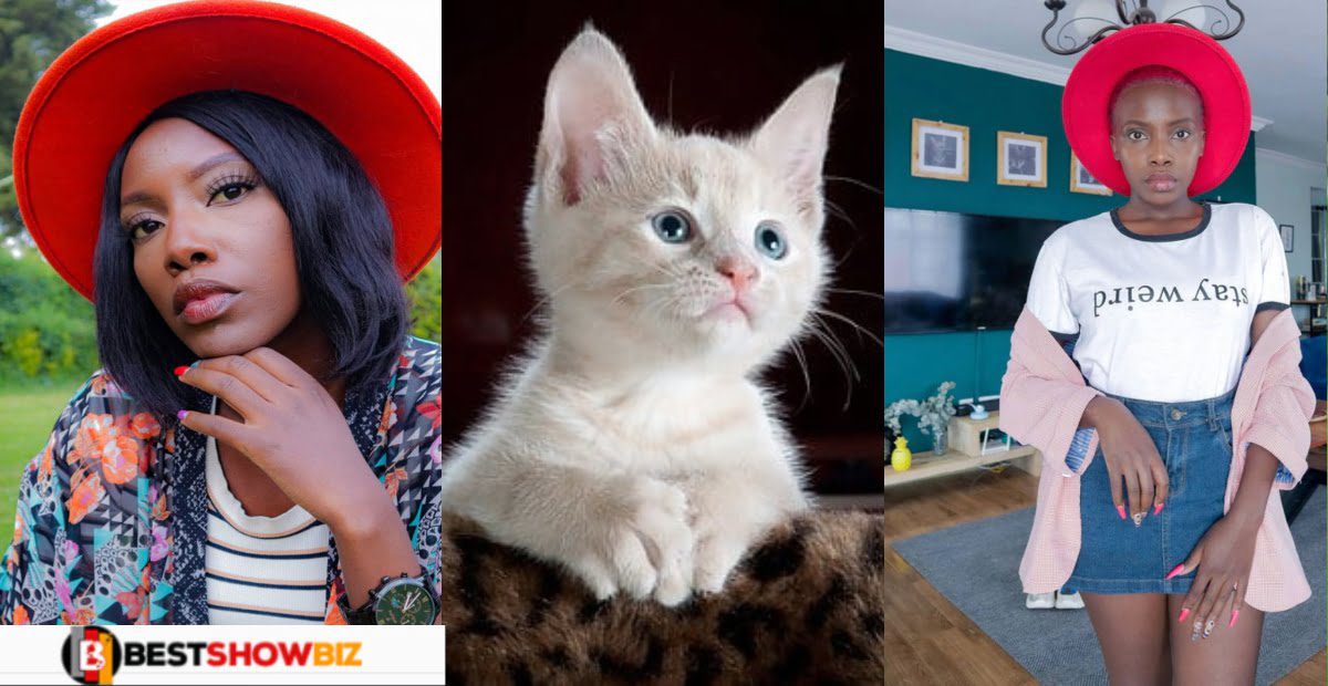 "I want to be a mother to my cats only, so I won't give birth"- Popular socialite reveals
