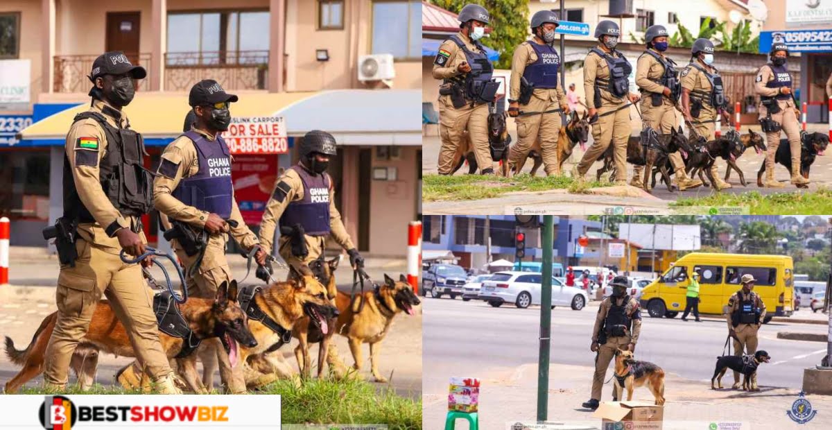The New IGP is really working: Ghana Police deploy k9 units on the streets to help stop crime (photos)