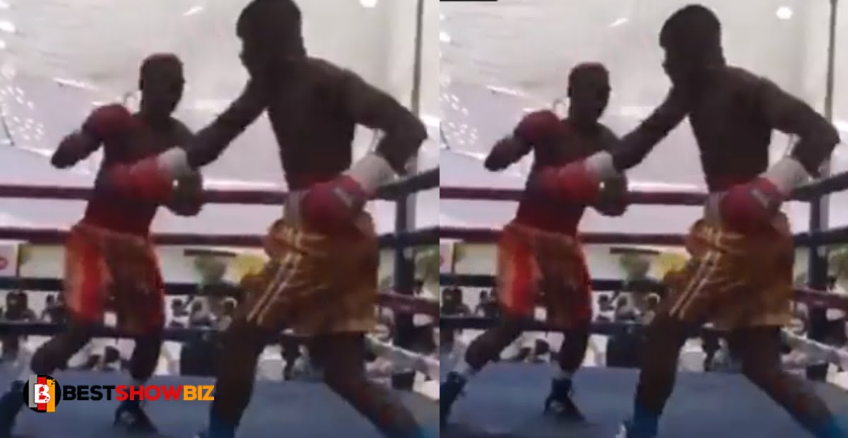 A 24-year-old professional boxer died after being knocked out (video)