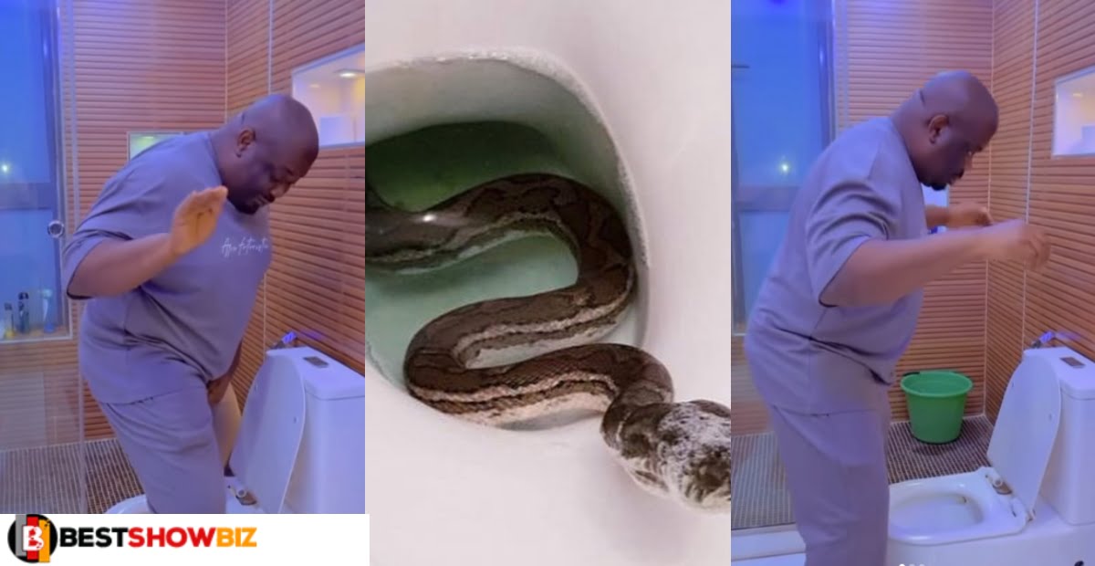 Musician Don jazzy gives advice on how to prevent snake bite whiles using water closet (video)