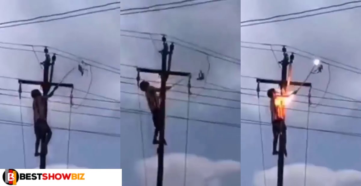 Man gets electrocuted to death after trying to save a bird from a high tension wire (video)