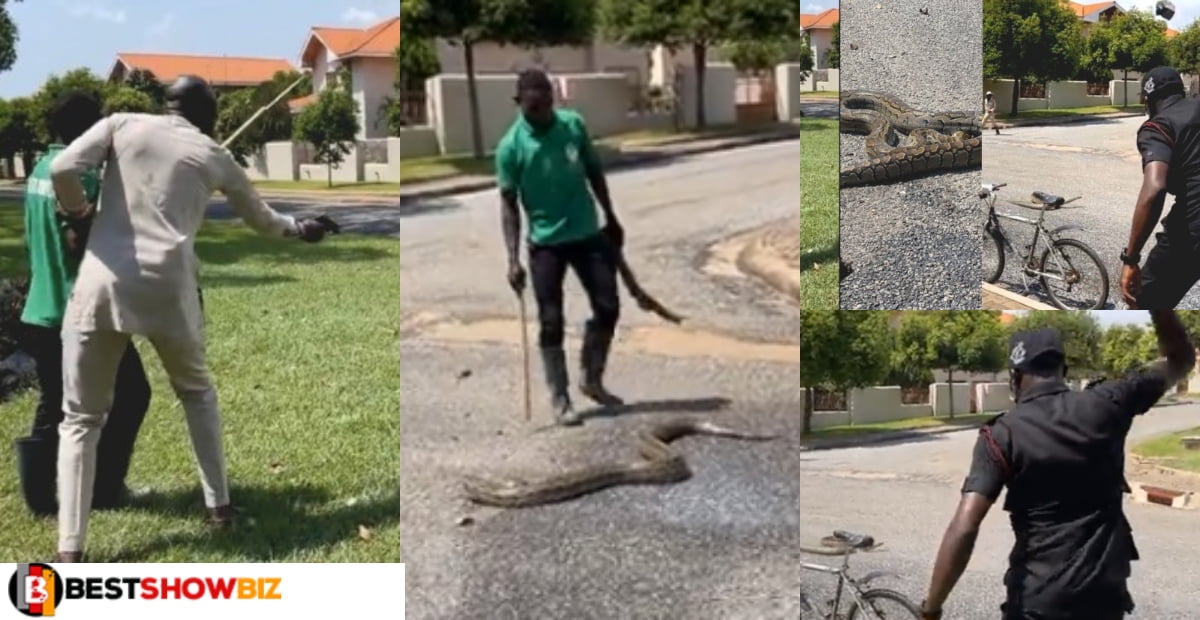 civilian fires a gun whiles police throws a stone at a huge snake scaring residences in Accra (Video)