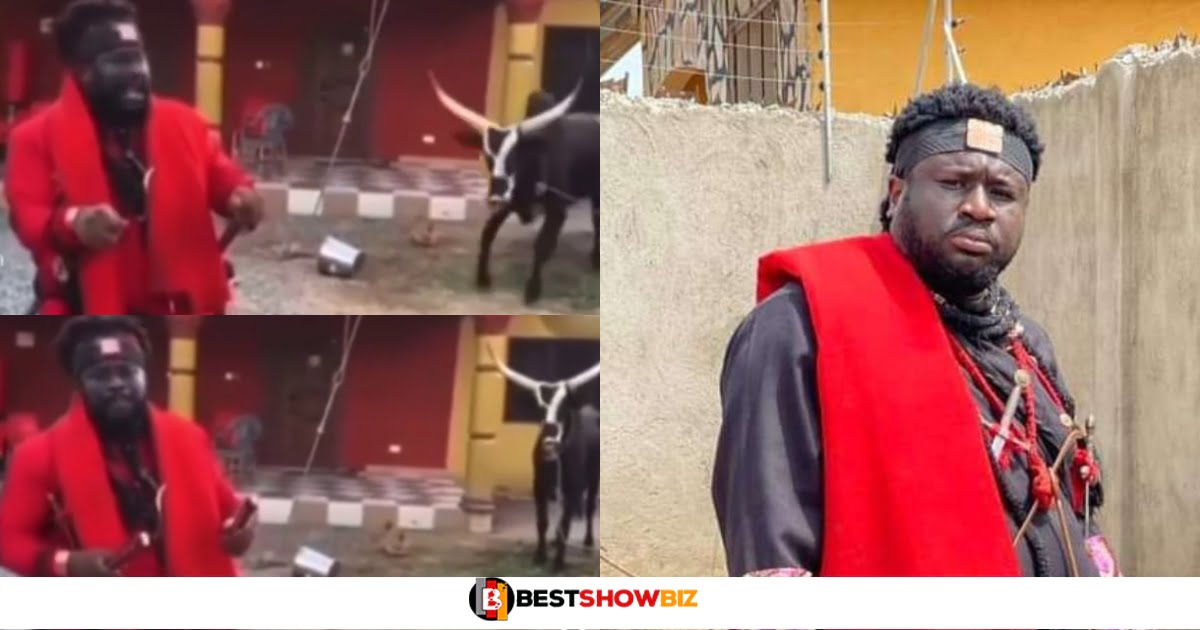 "Aboa, you want the cow to kill me"- fearful Ajagurajah ran for his life after a cow almost chased him