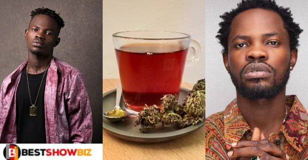 “Smoking weed is not my thing, i only use it to do tea”-Fameye