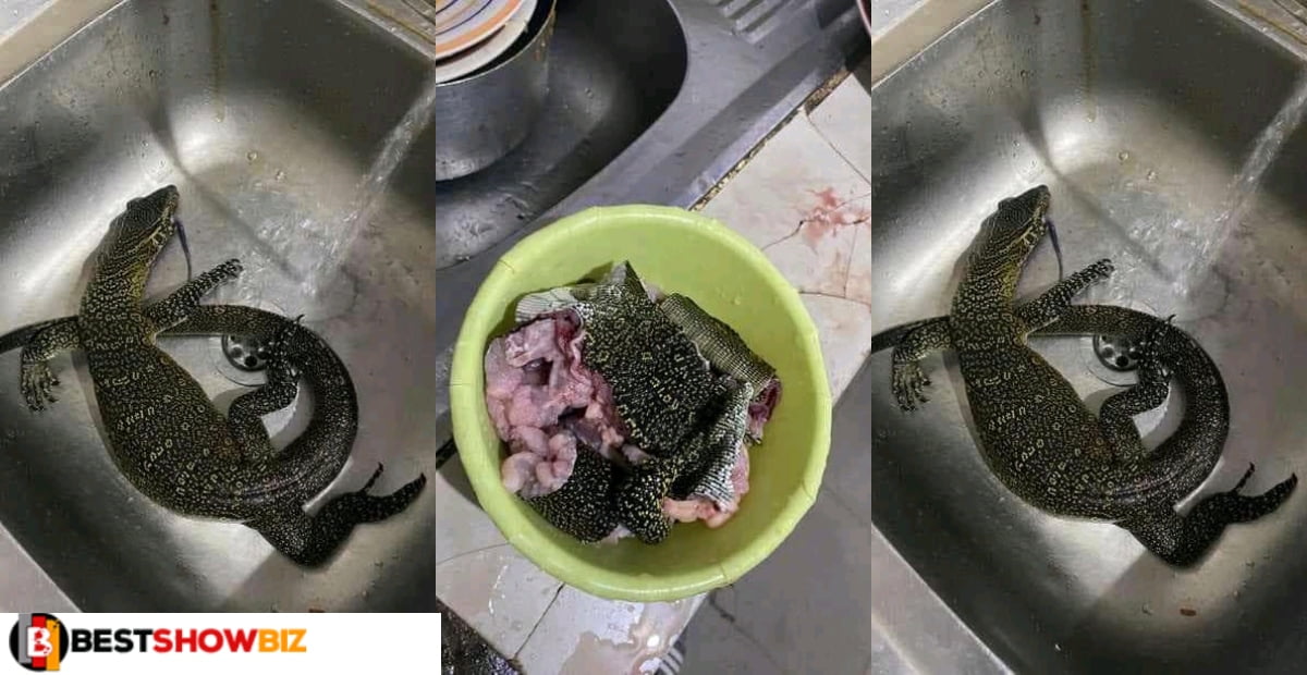 Video: Man cooks Monitor lizard which crawled into his water closet