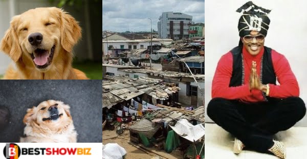 "Some Dogs Abroad Are Living Better Than Some Ghanaians In Ghana" – Sony Achiba
