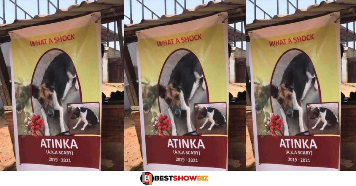 Obituary Poster Of A D⍥g Known As Atinka Spotted In Kumasi