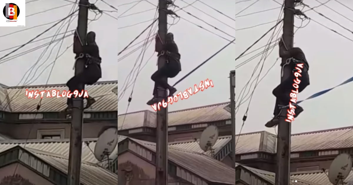 Electrician left stranded on a pole after area boys took his ladder for trying to cut their power (video)