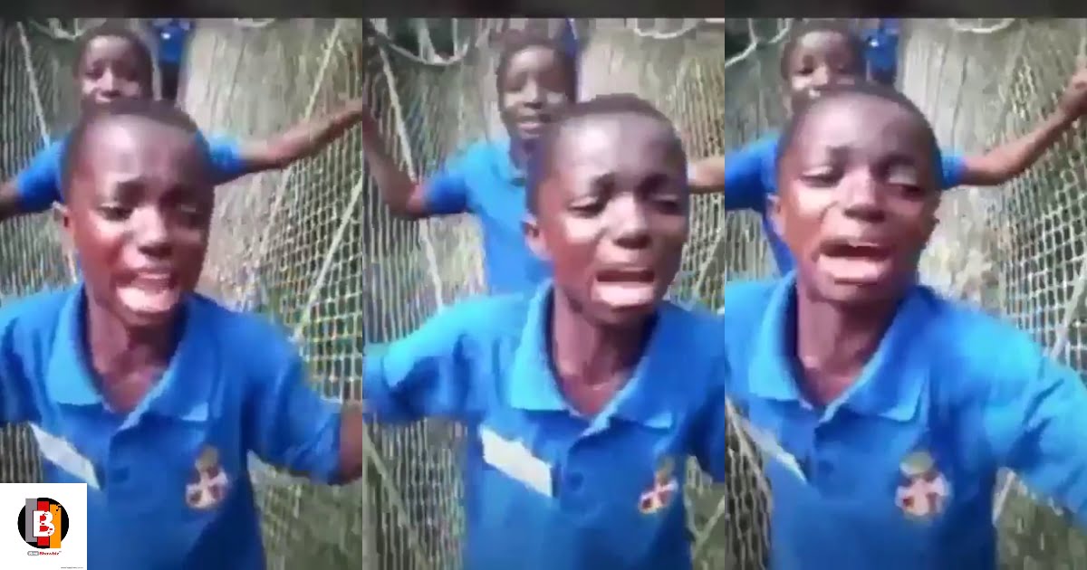 "Mama you told me but i didn't listen" – young boy cries on kakum walkway