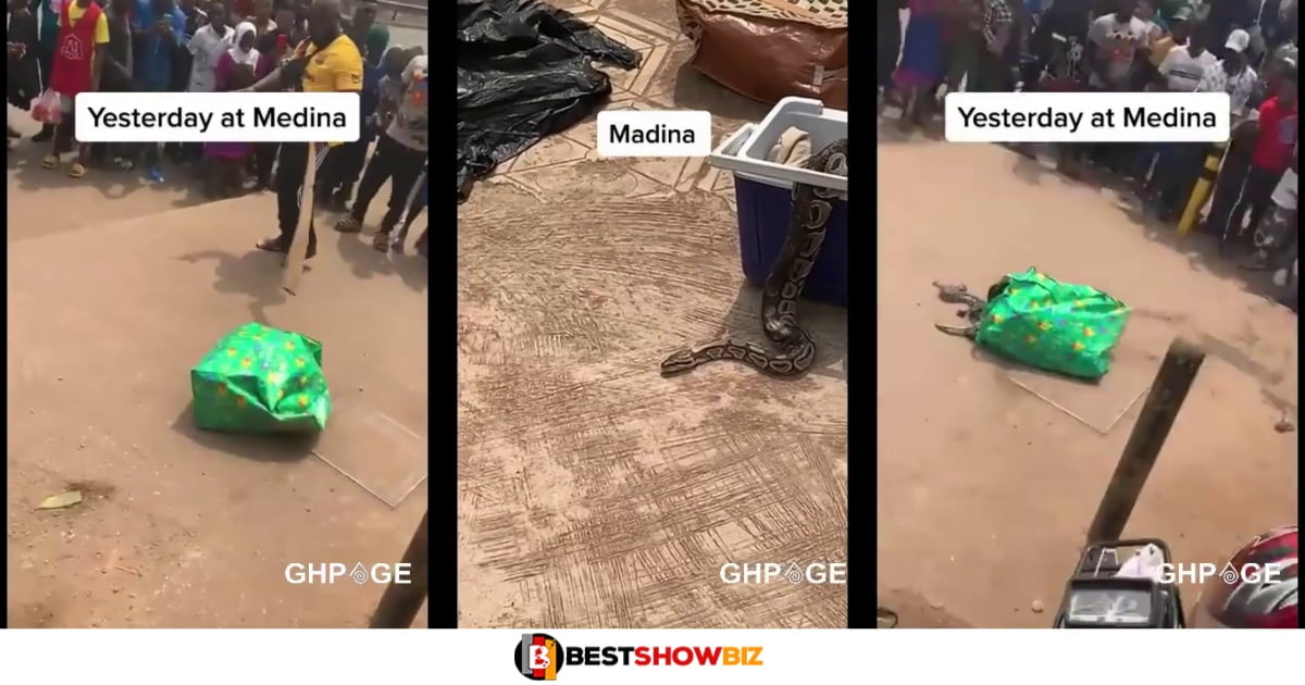 Huge snake found in ‘Ghana Must Go’ bag at Madina Junction; See Details of how it happened (watch video)