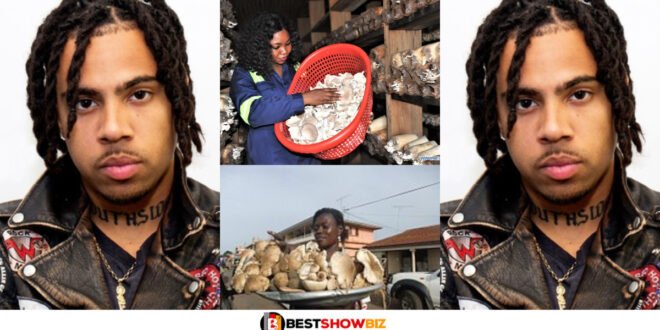 American Police Arrest Vic Mensa For Carrying Mushrooms From Ghana To The USA