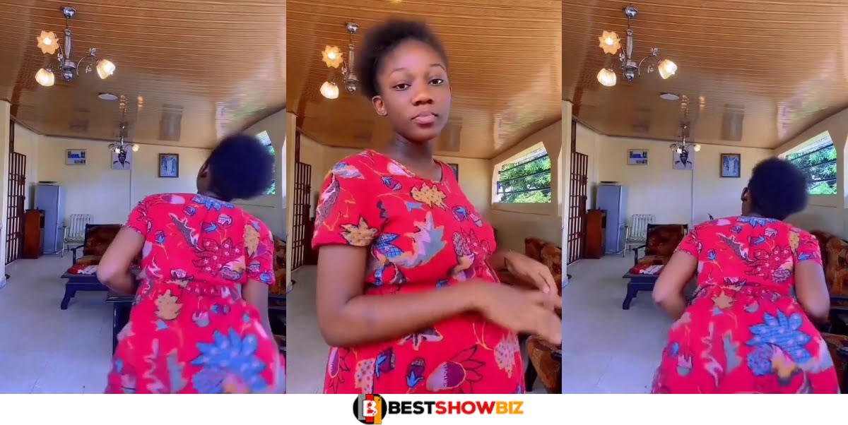 Pregnant lady shows how she got pregnant as she tw3rks in new video
