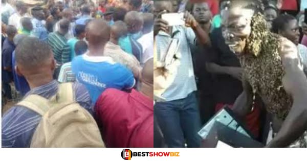 Wonders: Bees arrest thieves as they cry and return stolen items (video)