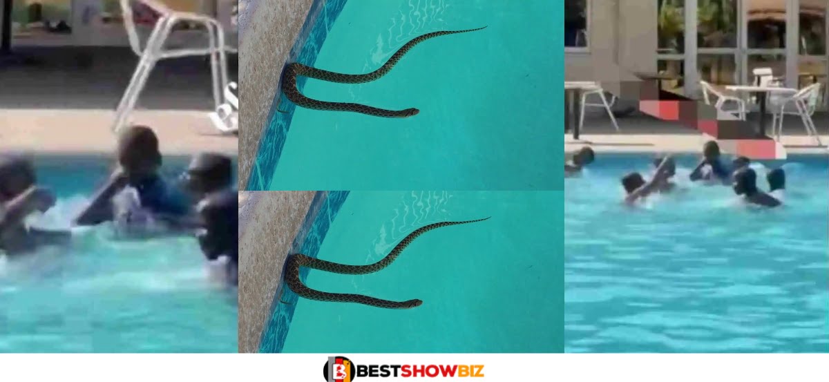 Kids escape snake bite in a swimming pool (Video)