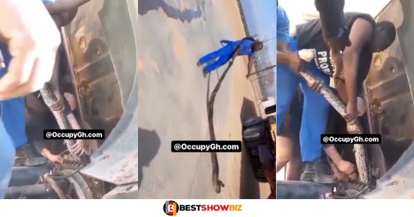 Mechanic pulls out huge snake from trucks engine (video)