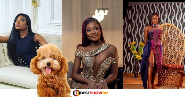 "I am willing to pay Ghc 3000 to anyone who helps me find my dog"- Singer Efya reveals