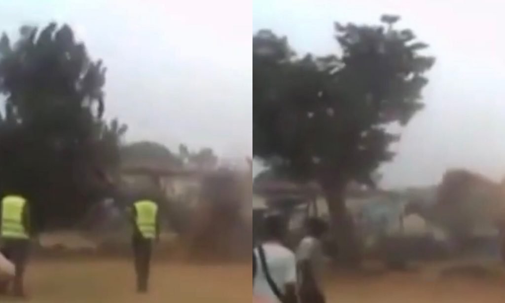 Wonders shall never end; a Tree In Volta refuses to be cut down even after a caterpillar was brought to pull it down (video)