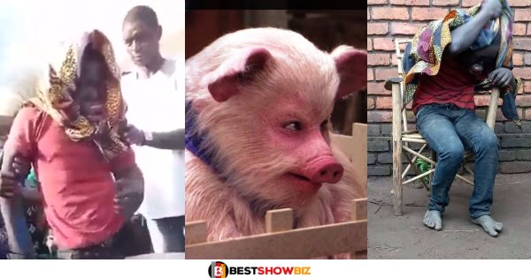 (Video) Man Turns Into Pig After Stealing Pig From Owner In Malawi