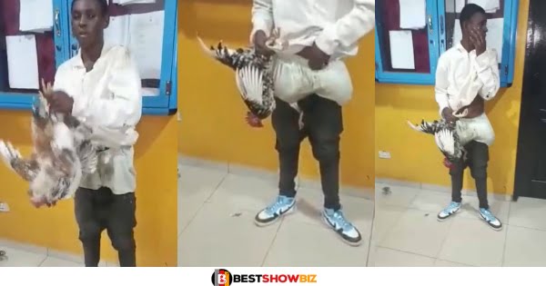 Young boy shows how he steals and hides fowl in his pants after being caught (Video)