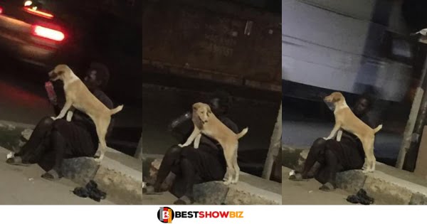 This is beautiful: Dog visits its owner every night after the owner went mad (photos)