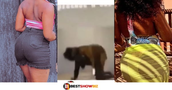 Massive Reactions As Video Of An African Girl Allowing A Dog To Chop Her For Money Surfaces
