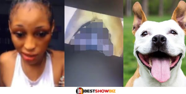 Clear Video of a Dog 'Eating' the 'Duna' of a Popular Slay Queen in Dubai Surface Online [Video]