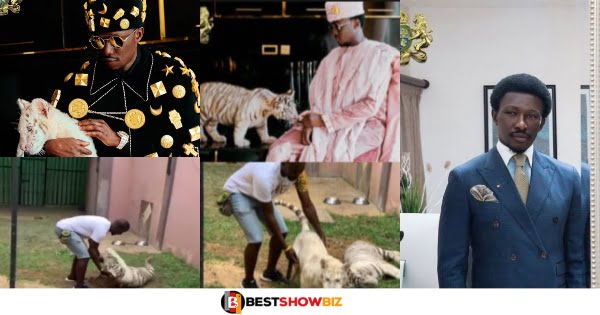 "I bought the Tiger for over $100k"- Freedom Jacob Caesar reacts to people complaining about his Tigers (video)