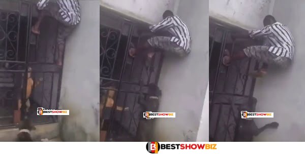(Video) Dogs attack Thief who broke into their owner's house